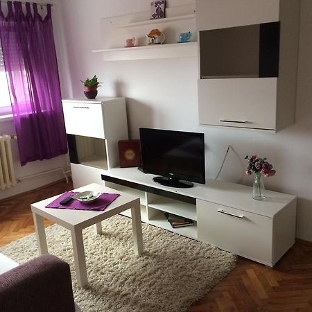 Tami Apartment 노비사드 외부 사진