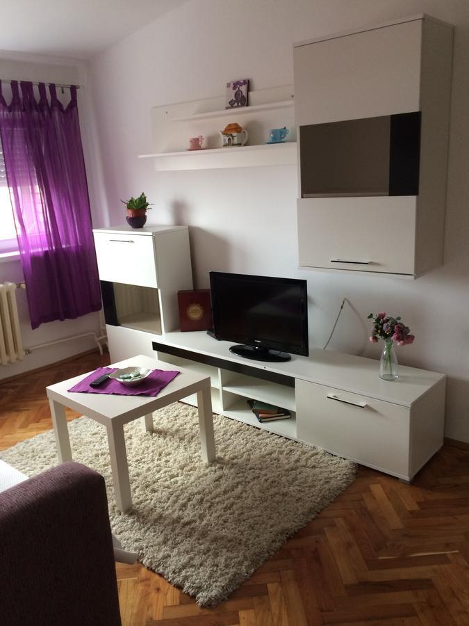 Tami Apartment 노비사드 외부 사진